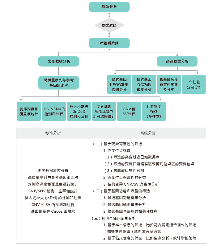 全基因组重测序-生信分析流程-K8凯发国际基因