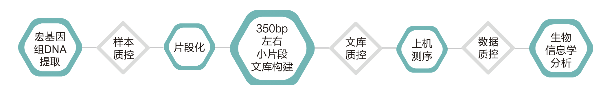 宏基因组测序-技术路线-K8凯发国际基因 宏基因组测序-技术路线-K8凯发国际基因