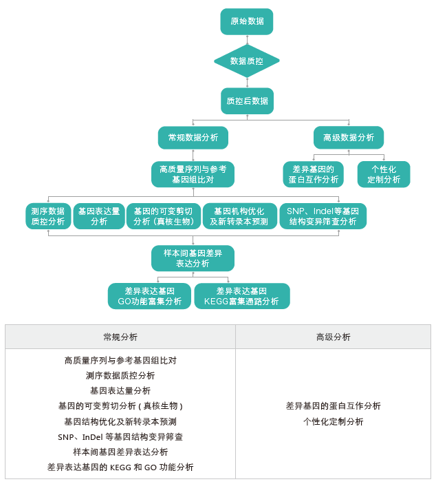 转录组测序-生信分析流程（有参）-K8凯发国际基因