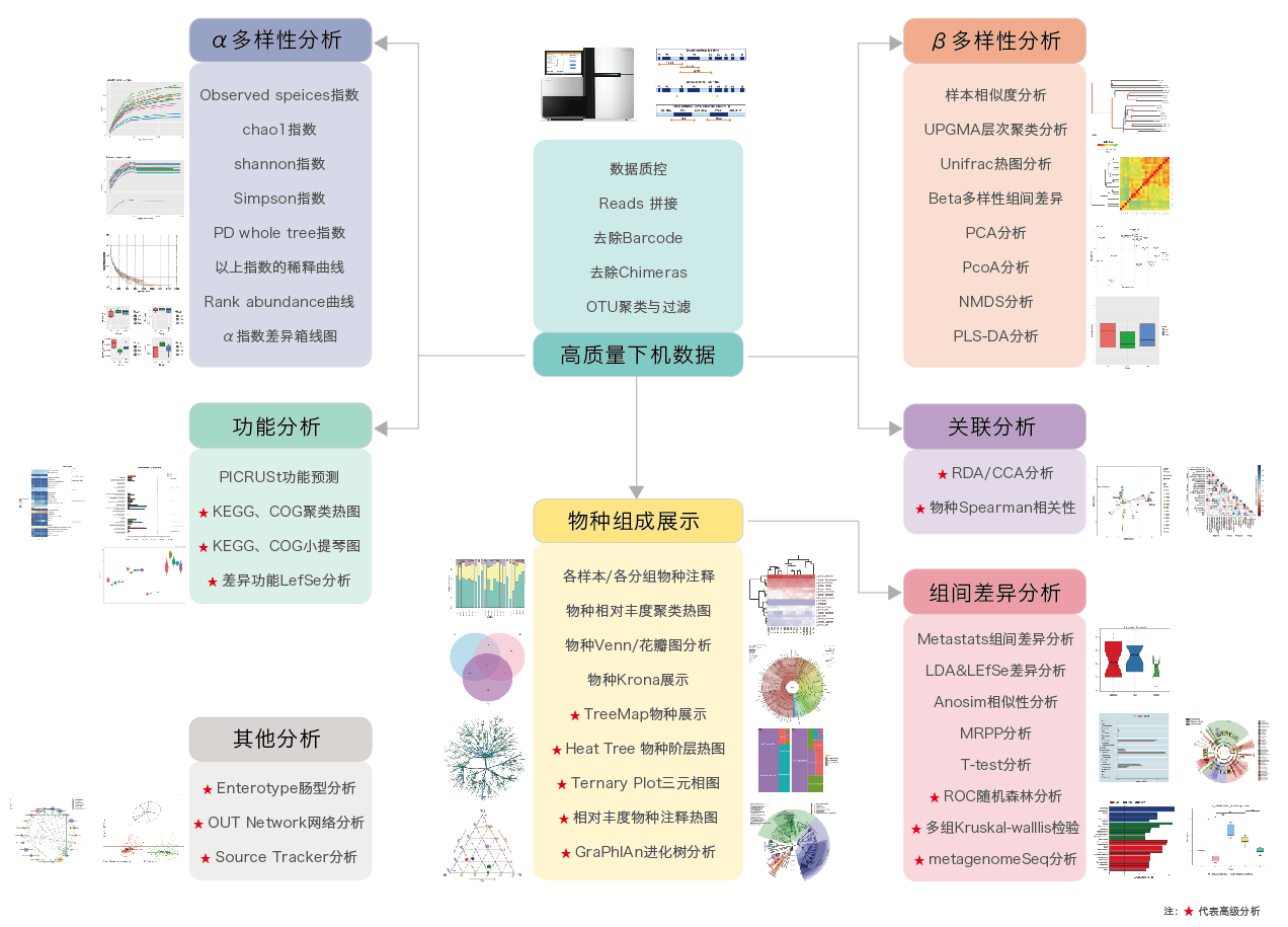 16S/18S/ITS扩增子测序-生信分析流程-K8凯发国际基因 16S/18S/ITS扩增子测序-生信分析流程-K8凯发国际基因