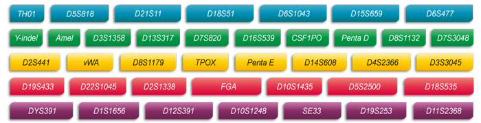 K8凯发国际基因Microreader™ 36A ID System位点