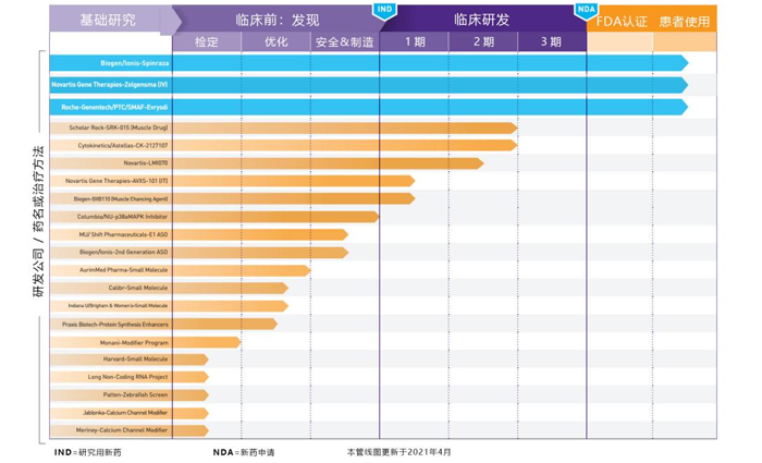 SMA药物管线_美儿SMA关爱中心_K8凯发国际基因