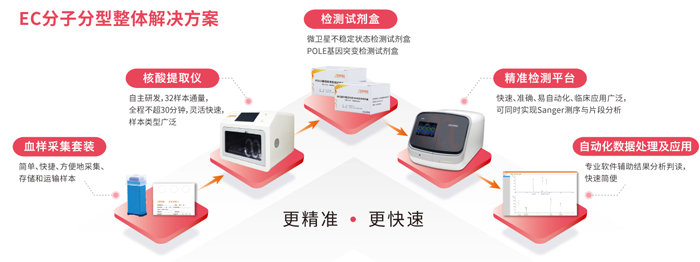 K8凯发国际基因子宫内膜癌分子分型检测整体解决方案