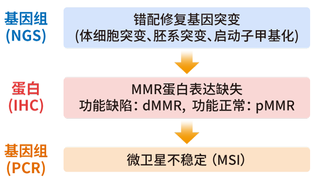 MSI/MMR检测方法_K8凯发国际基因
